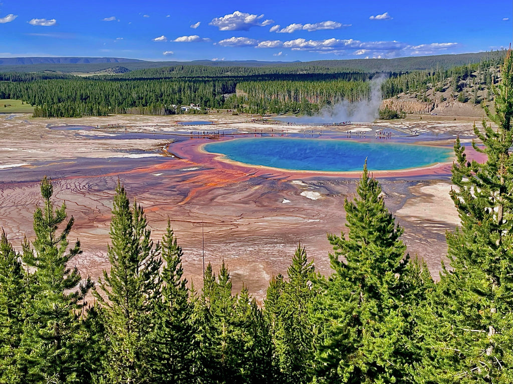 The Grand Prismatic Spring in Yellowstone NP