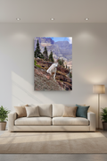 Mountain goat, Glacier NP
