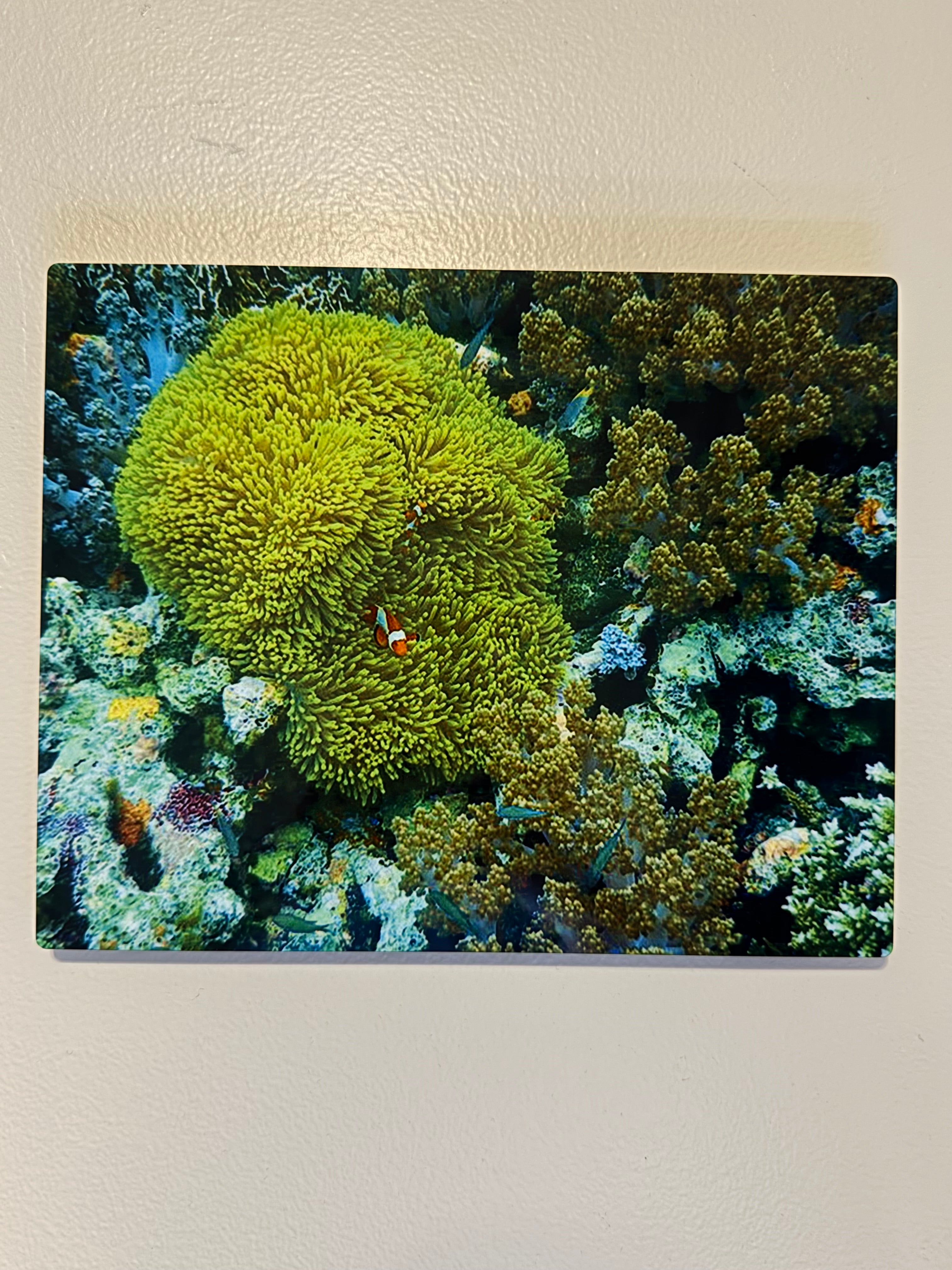 a custom photo of your own