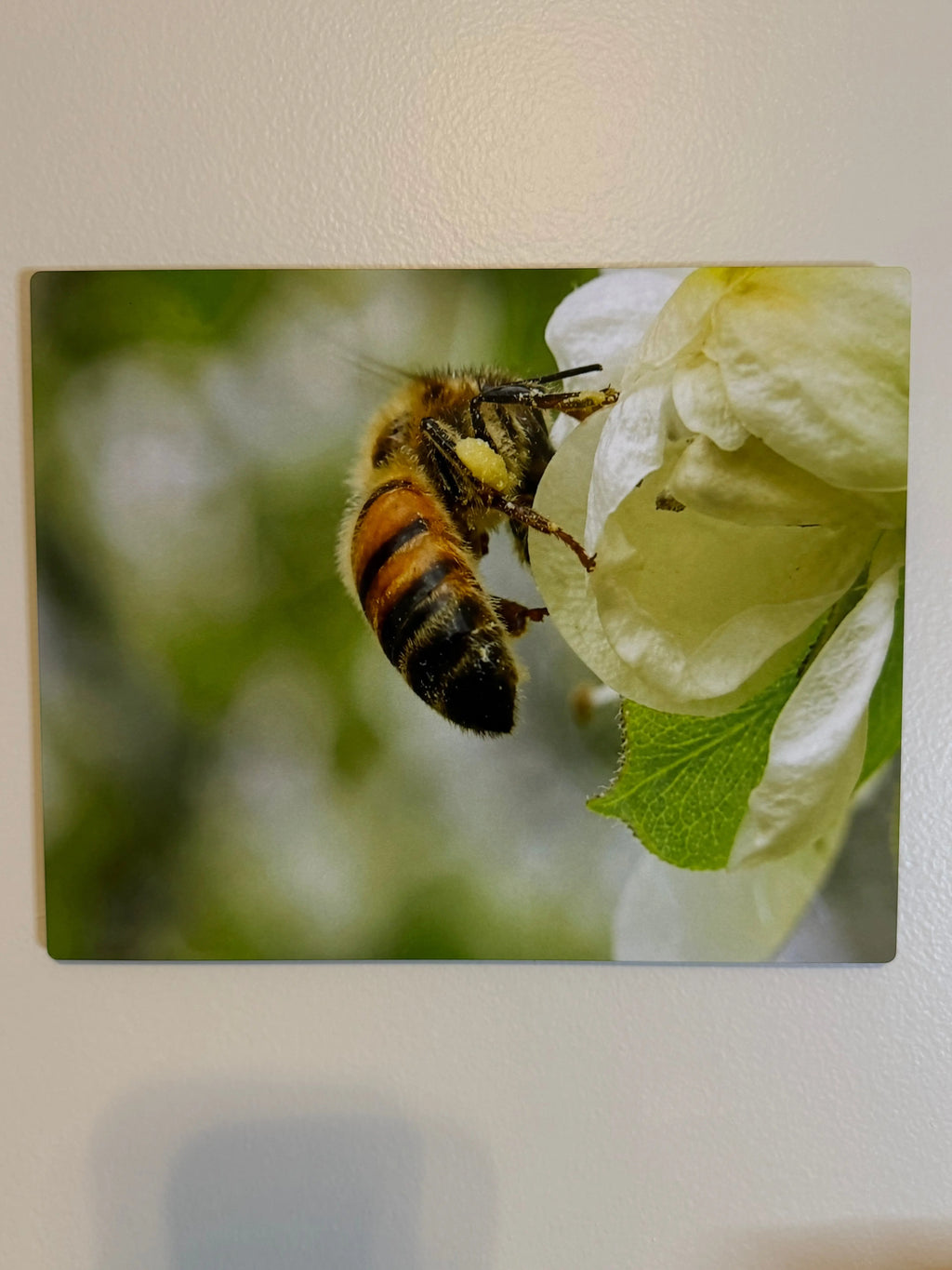 a custom photo of your own My Store