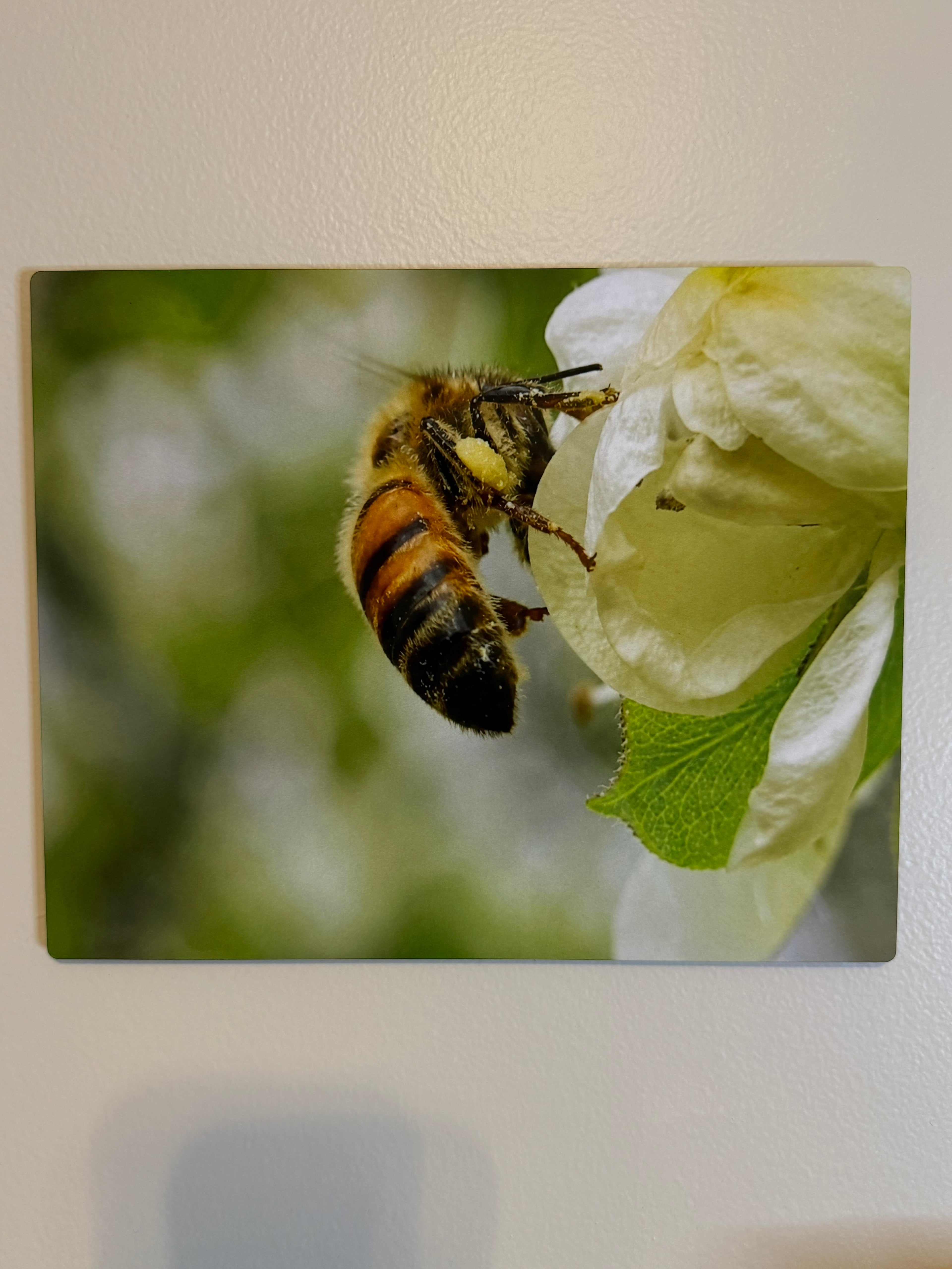 a custom photo of your own