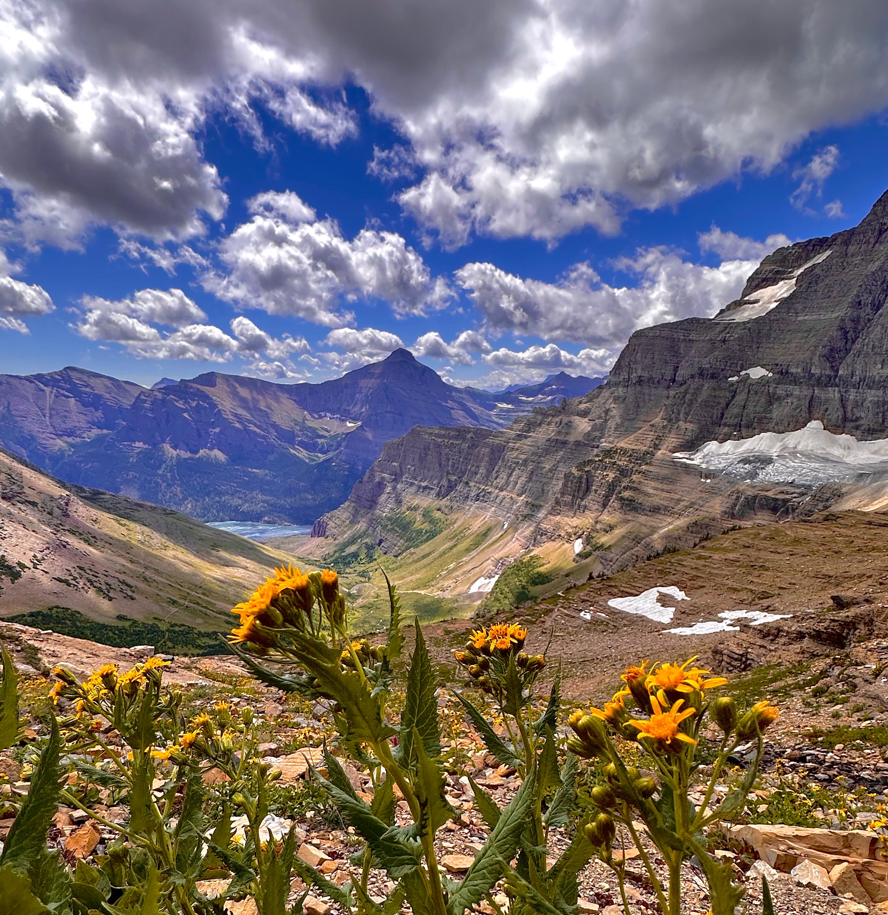 Siyeh Pass, Glacier NP, Montana