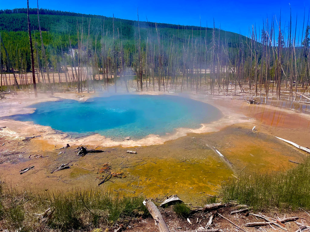 Norris Geyser Basin, Yellowstone NP