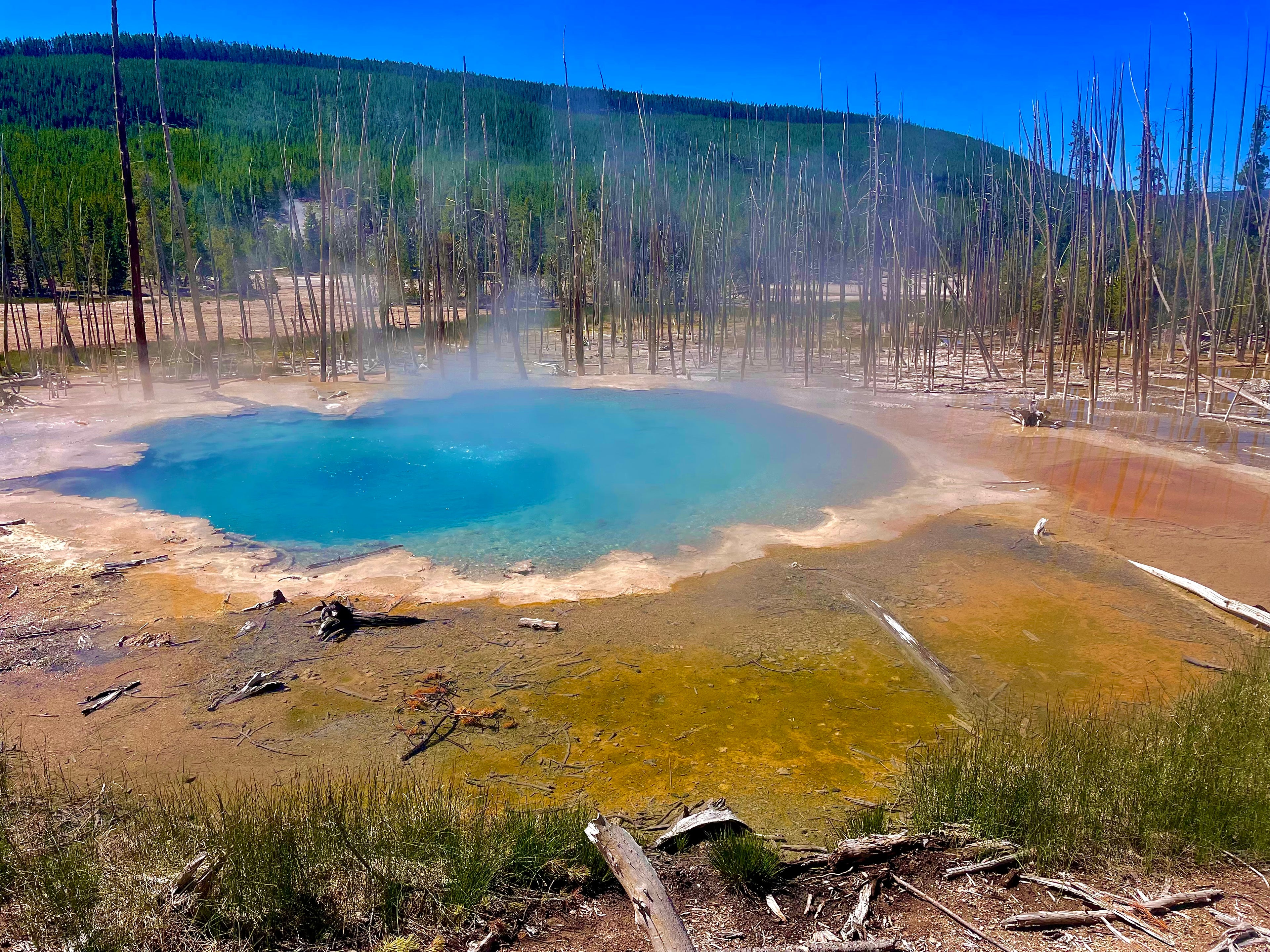 Norris Geyser Basin, Yellowstone NP