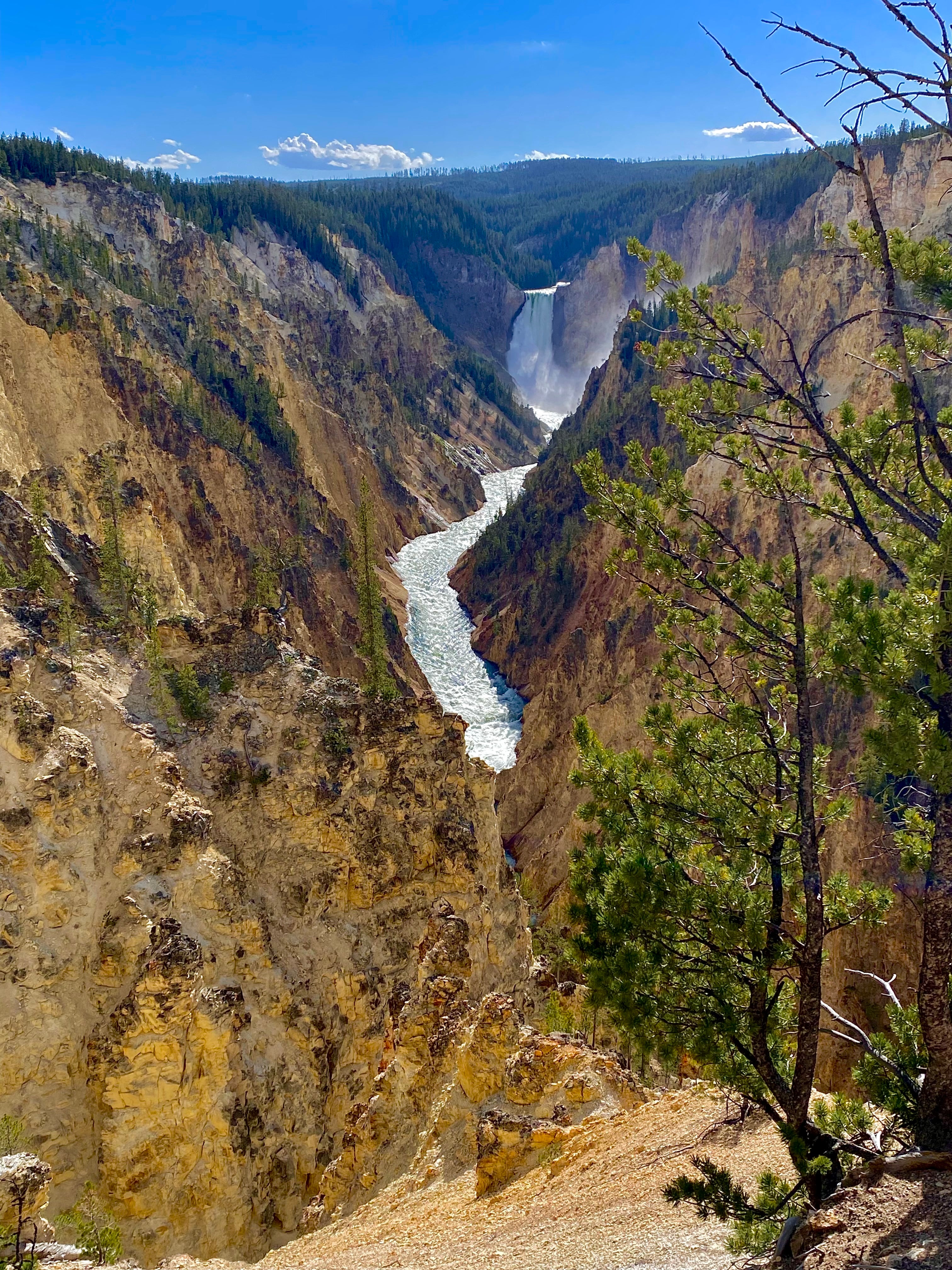 The Yellowstone River Canyon in Yellowstone NP