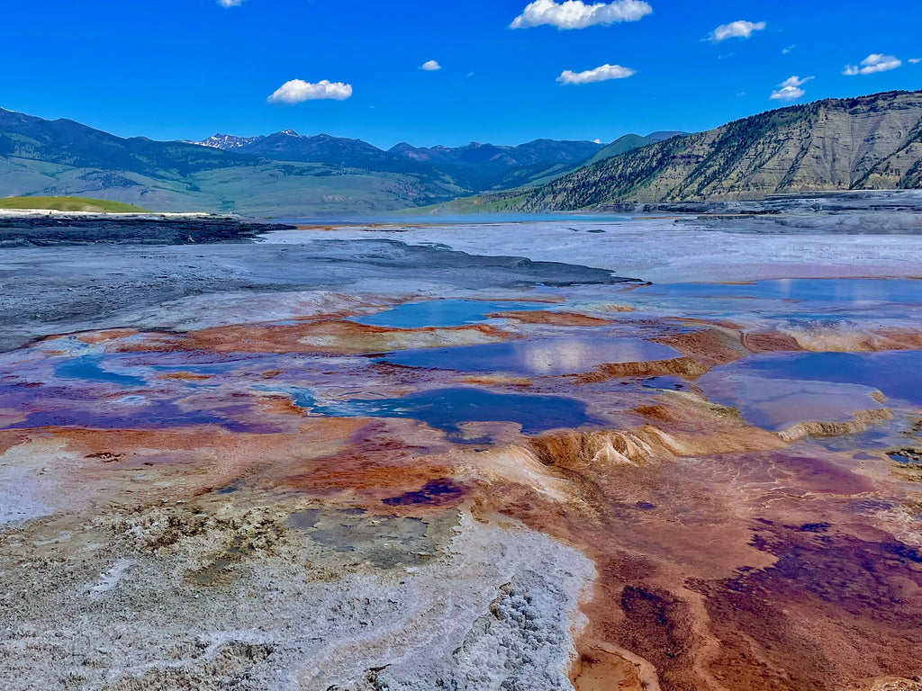 Mammoth Hot Springs, Yellowstone NP